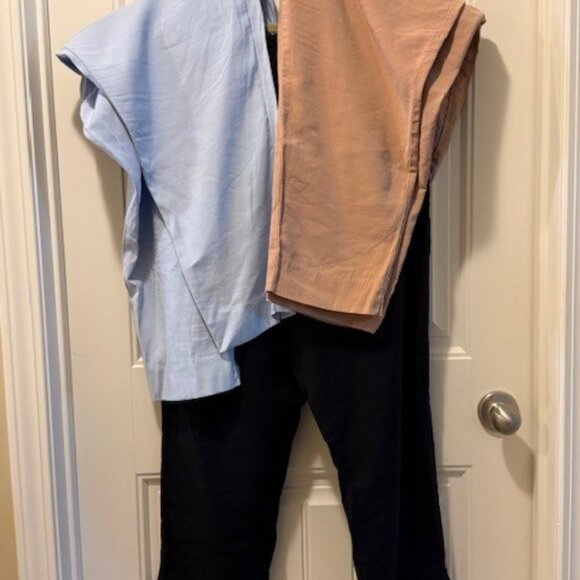 Ann Taylor “Eva Easy Ankle Pants” – Large Petite (Like New) - Picture 1 of 7